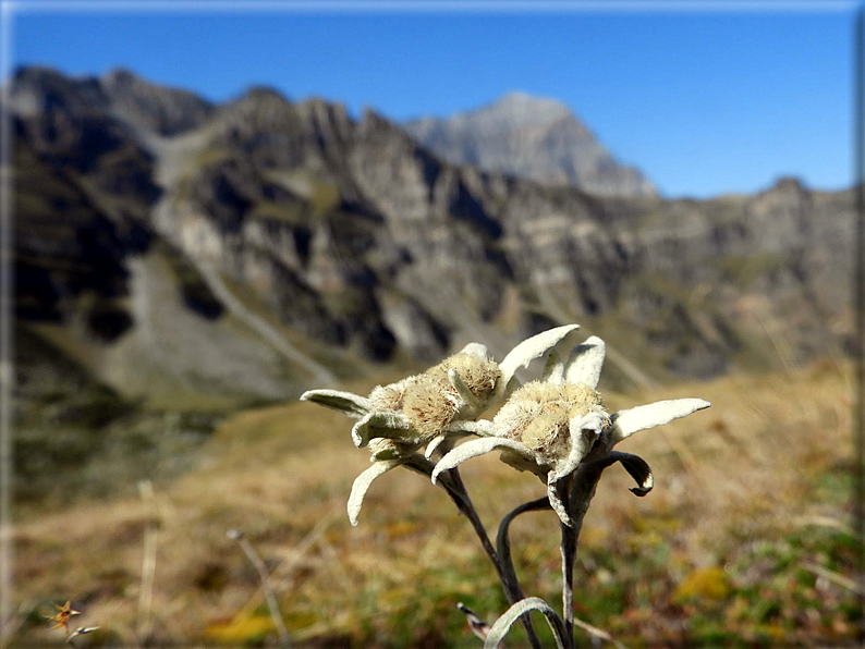 foto Monte Teggiolo